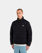 Dickies Casaco Summerdale Puffer Preto  DK0A870GBLK