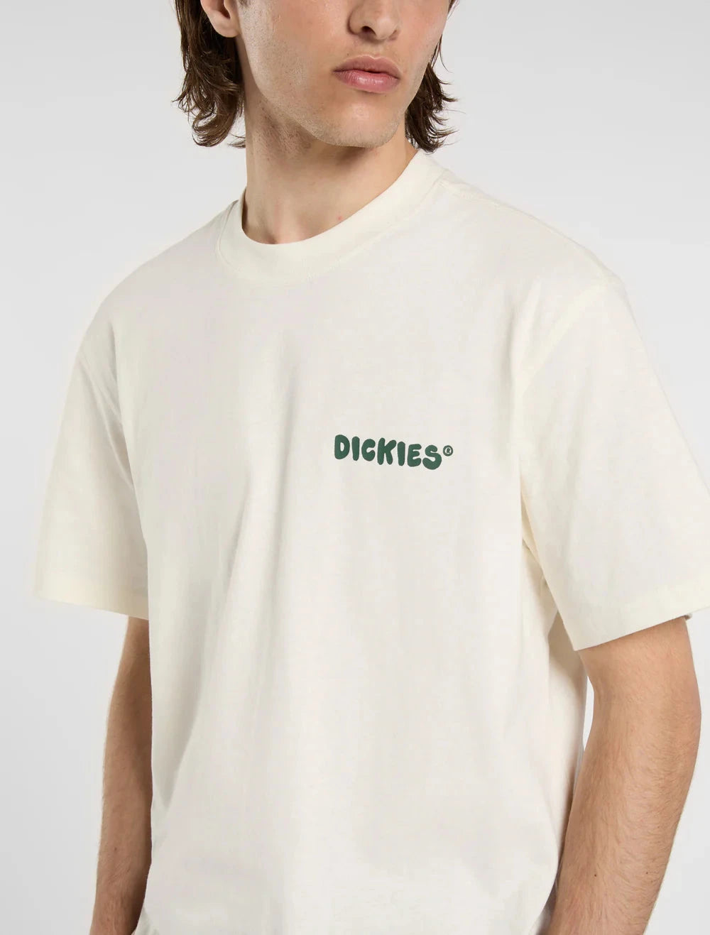 Dickies T-Shirt Gordonsville Bege/Verde Dickies 