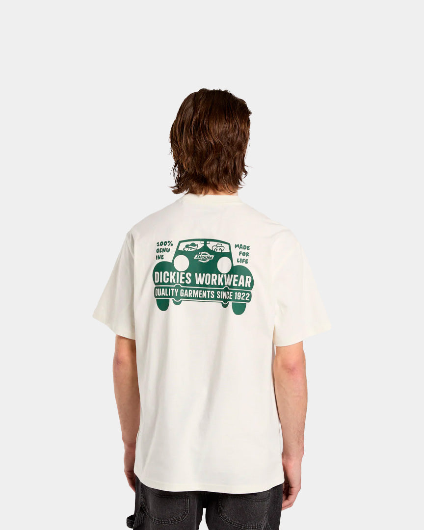 Dickies T-Shirt Gordonsville Bege/Verde DK0A87QUC481