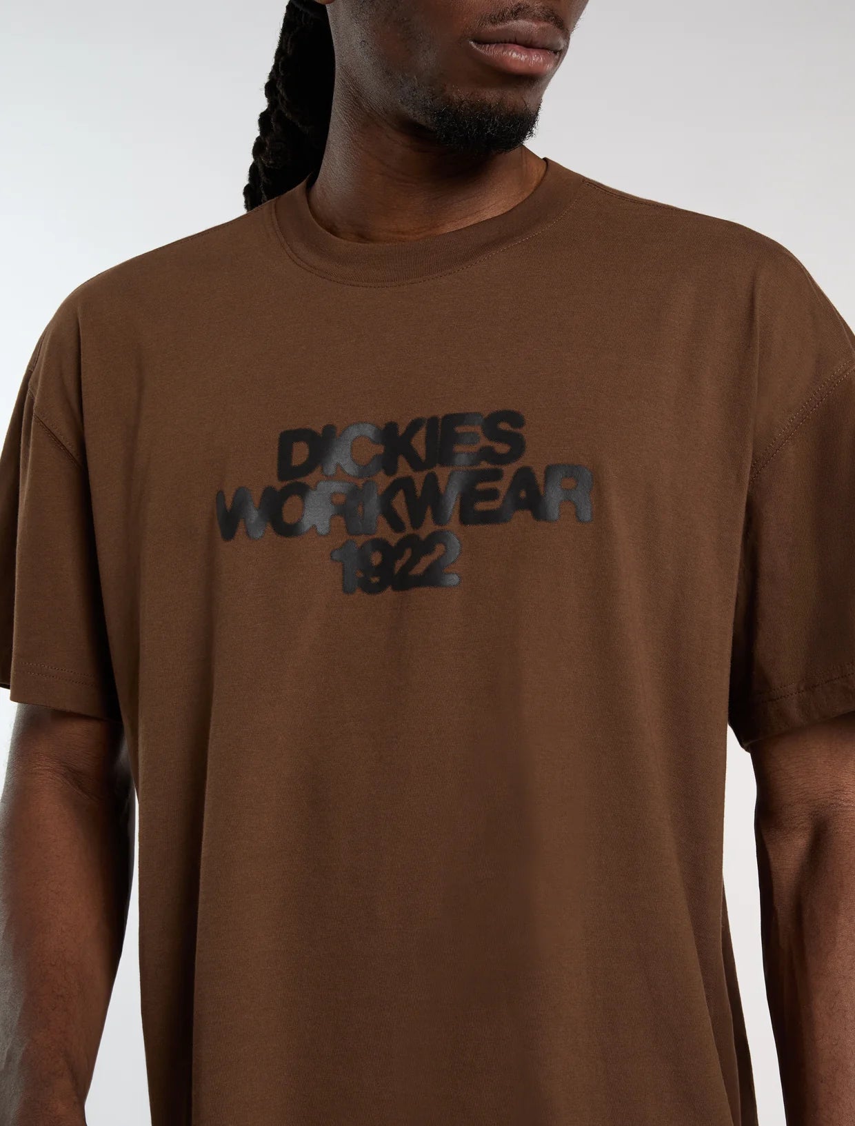 T-shirt Dickies Torrey Castanha Dickies 