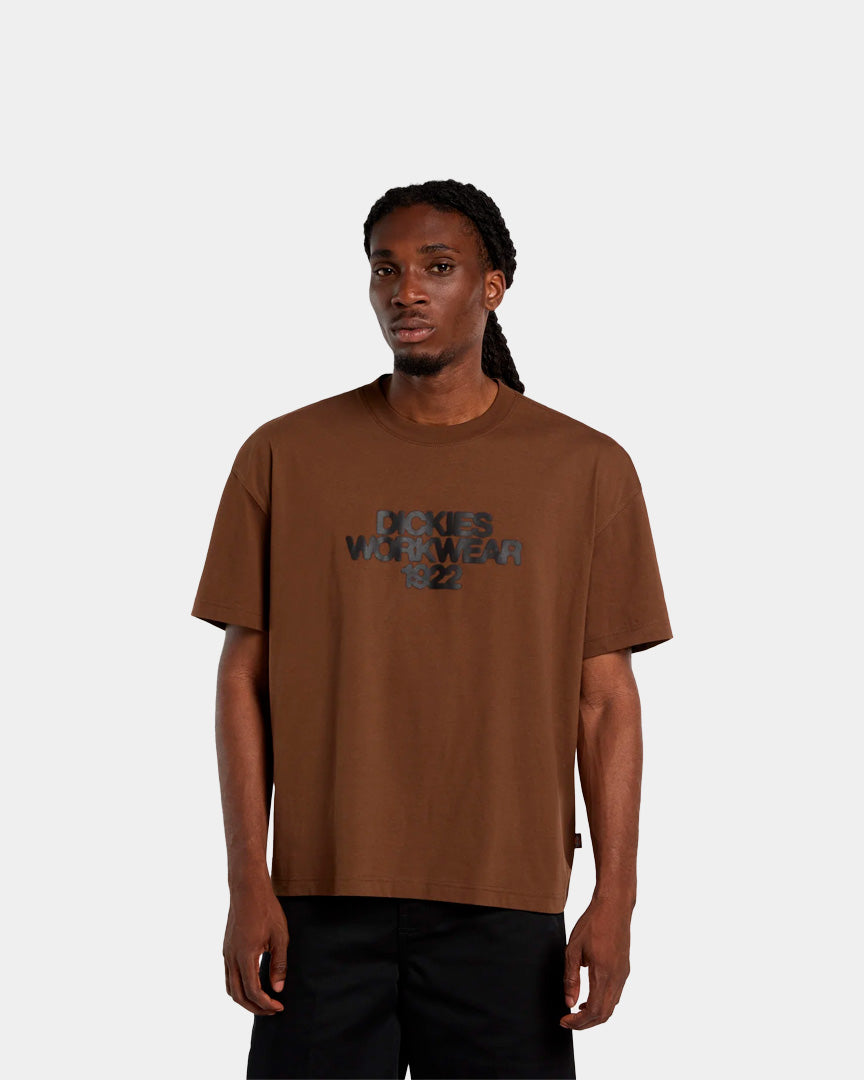 T-shirt Dickies Torrey Castanha DK0A88890TB