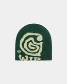 Carhartt WIP Gorro Helix Verde I0356273EBXX