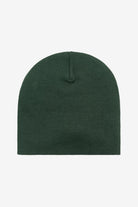 Carhartt WIP Gorro Helix Verde Carhartt 