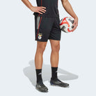 Adidas Calções de Treino SL Benfica 25/26 Adidas 