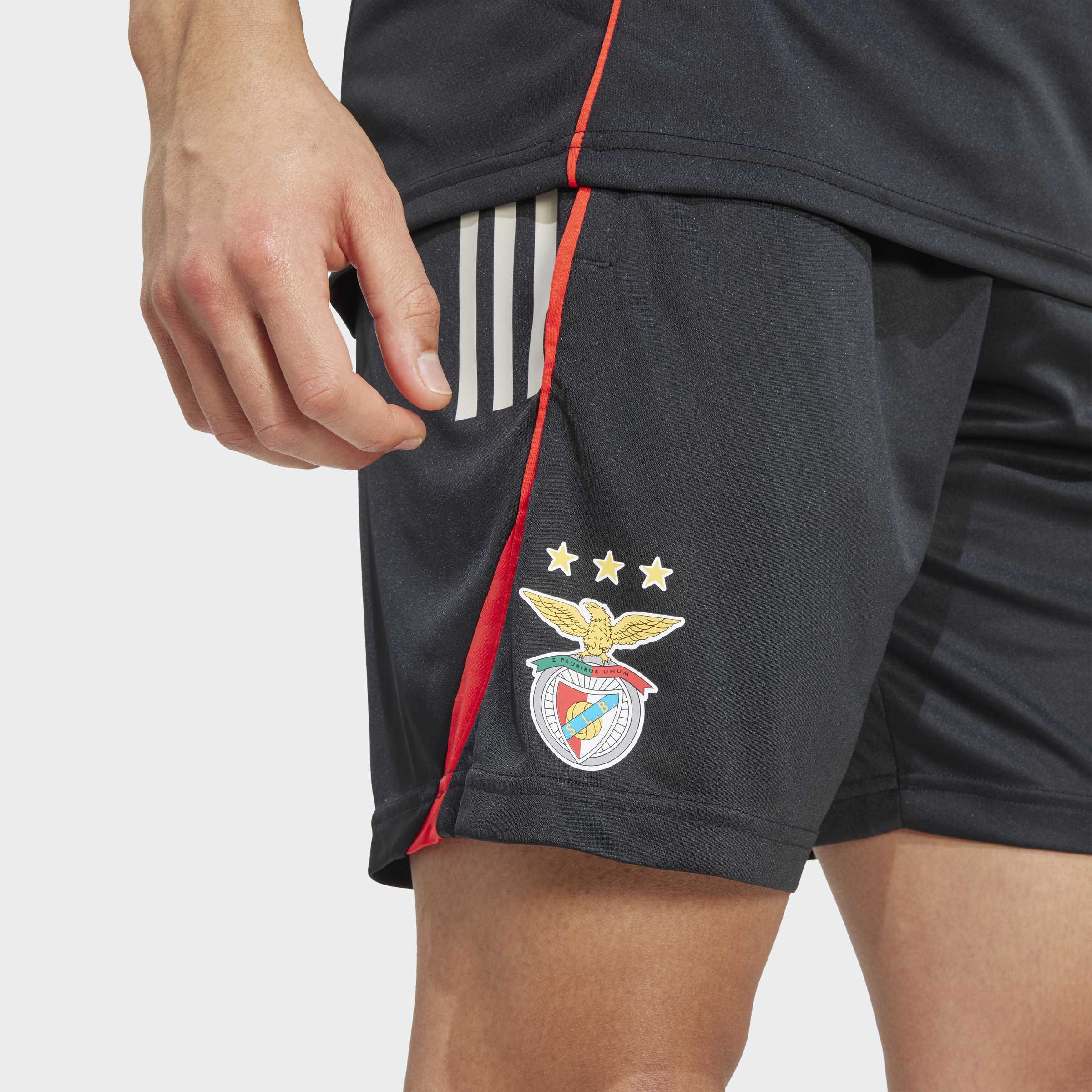 Adidas Calções de Treino SL Benfica 25/26 Adidas 