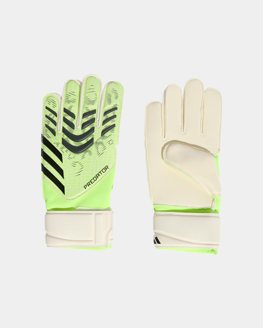Adidas Luvas de Guarda-redes Match Predator Verde Adidas 