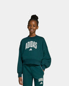 Adidas Camisola Essential Collegiate J Verde JV7377