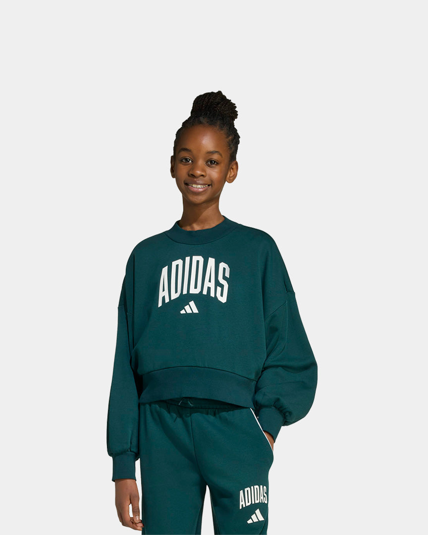 Adidas Camisola Essential Collegiate J Verde JV7377