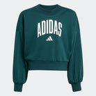 Adidas Camisola Essential Collegiate J Verde Adidas 