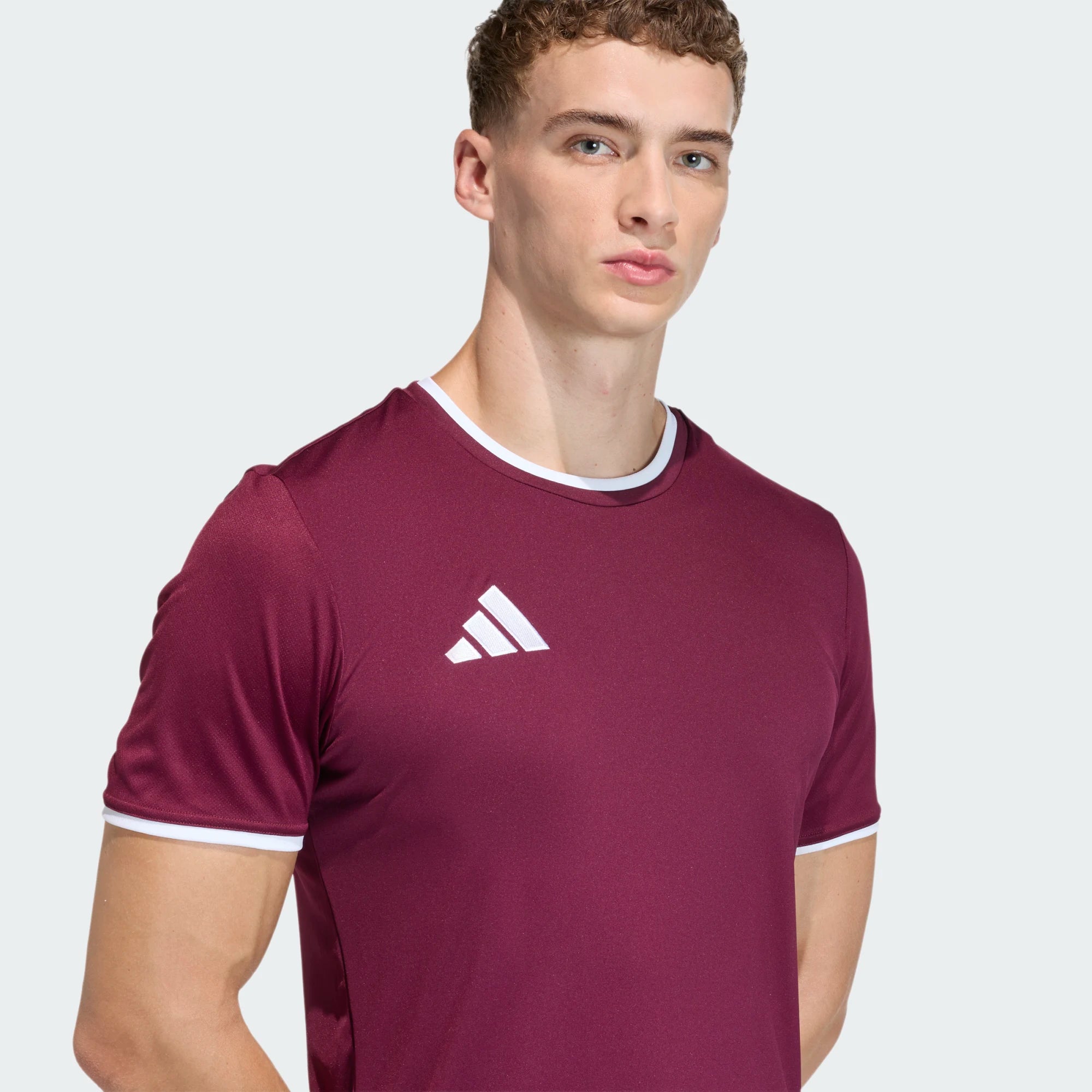 T-shirt de Treino Homem Adidas Ent26 Bordô Adidas 