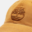 Timberland Boné Soundview Camel Timberland 