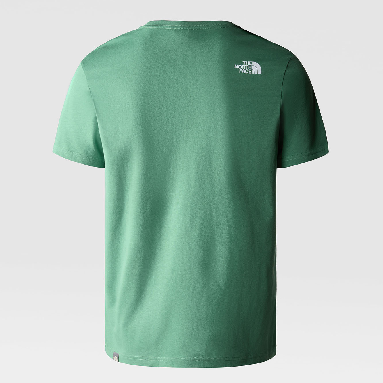 T-Shirt North Face Nse Homem Verde