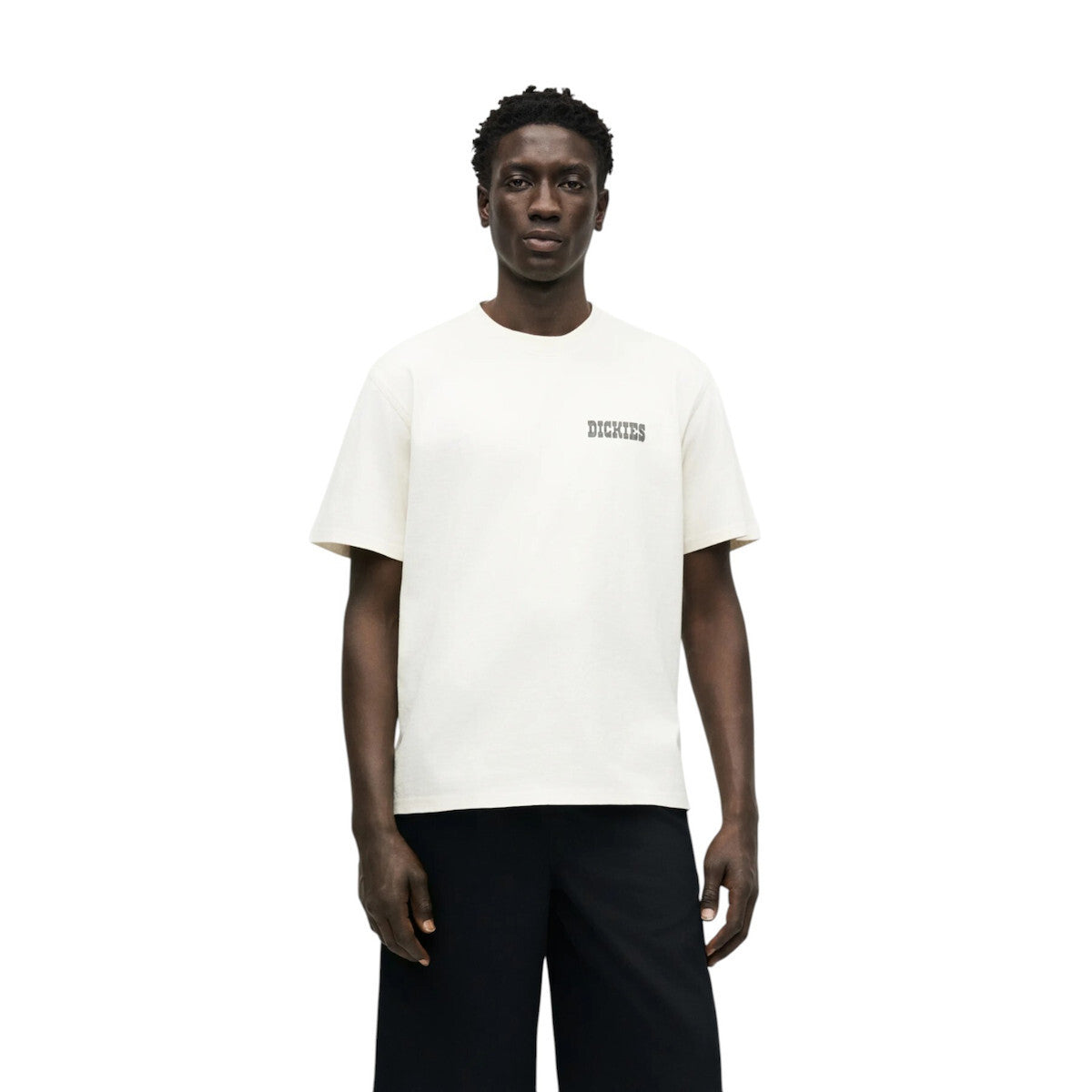 T-shirt Homem Dickies Buchtell Bege Dickies 