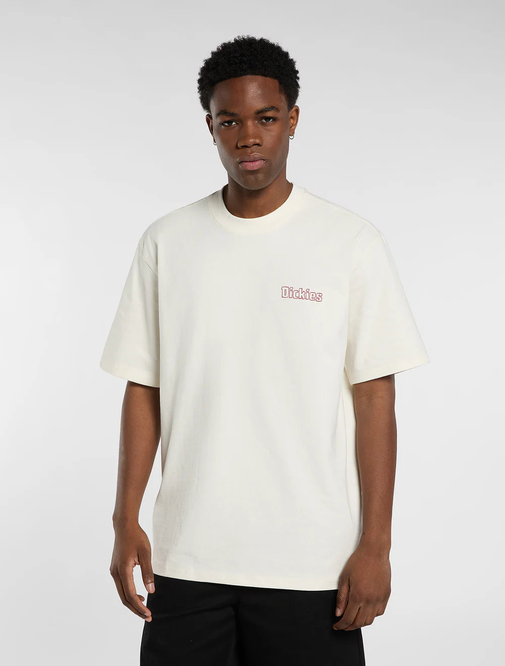 T-shirt Homem Dickies Fairlawn Bege Dickies 