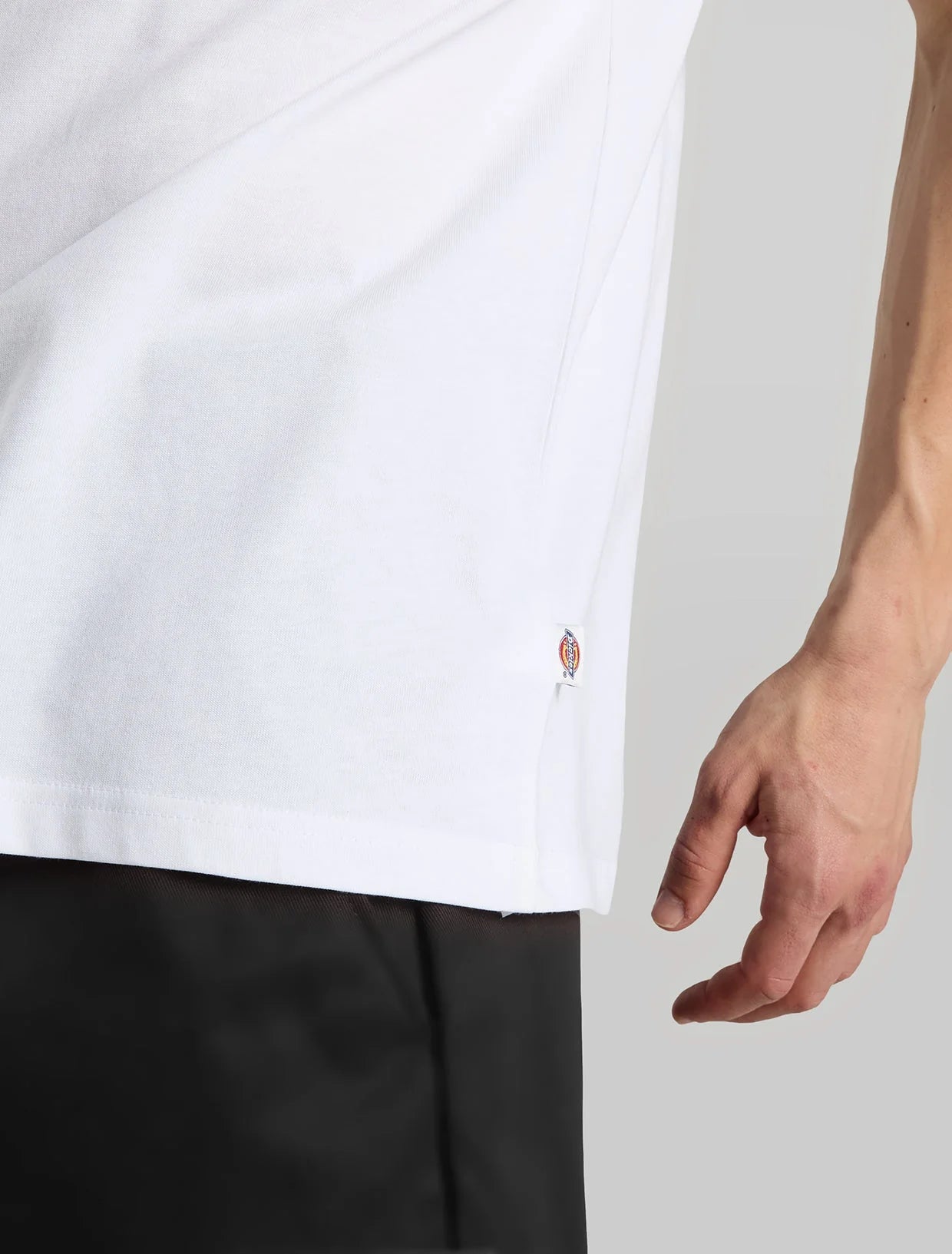T-shirt Homem Dickies Minden Branca/Azul Dickies 