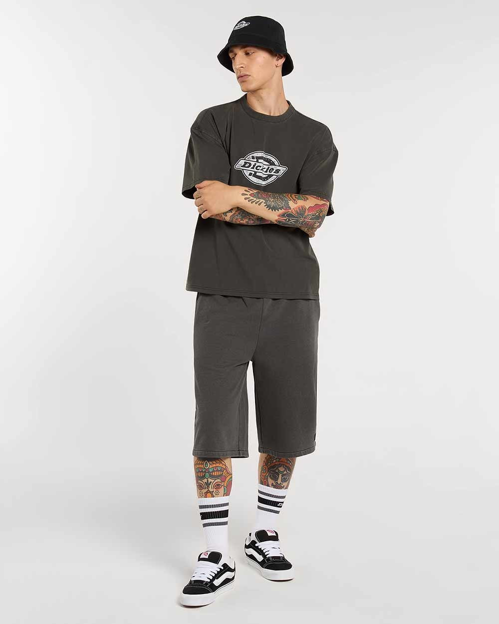 T-shirt Homem Dickies Plainville Cinza Dickies 