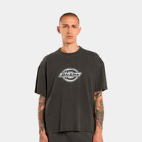 T-shirt Homem Dickies Plainville Cinza