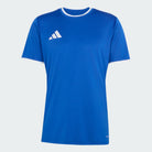 T-shirt de Treino Homem Adidas Ent26 Azul Adidas 