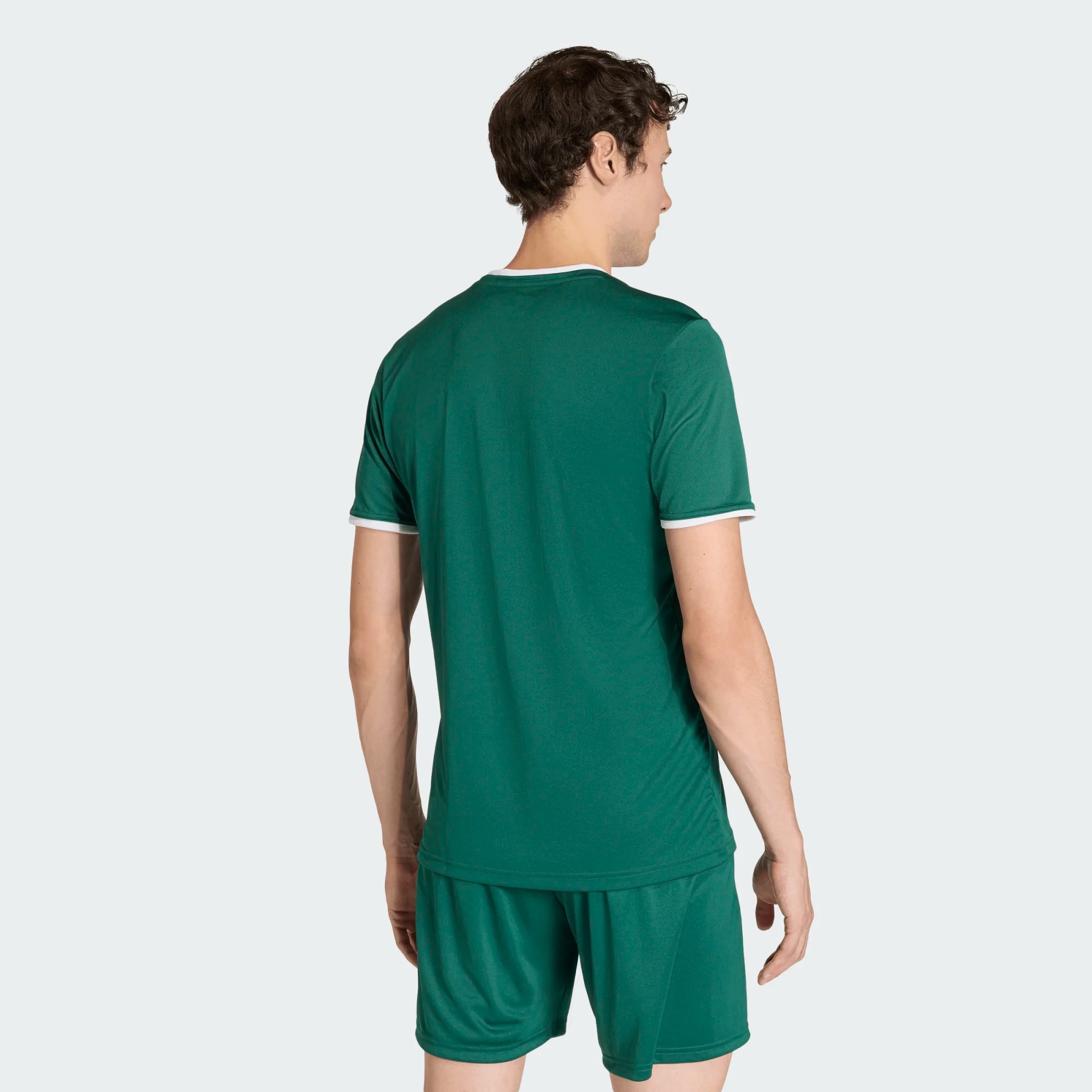 T-shirt de Treino Homem Adidas Ent26 Verde Adidas 