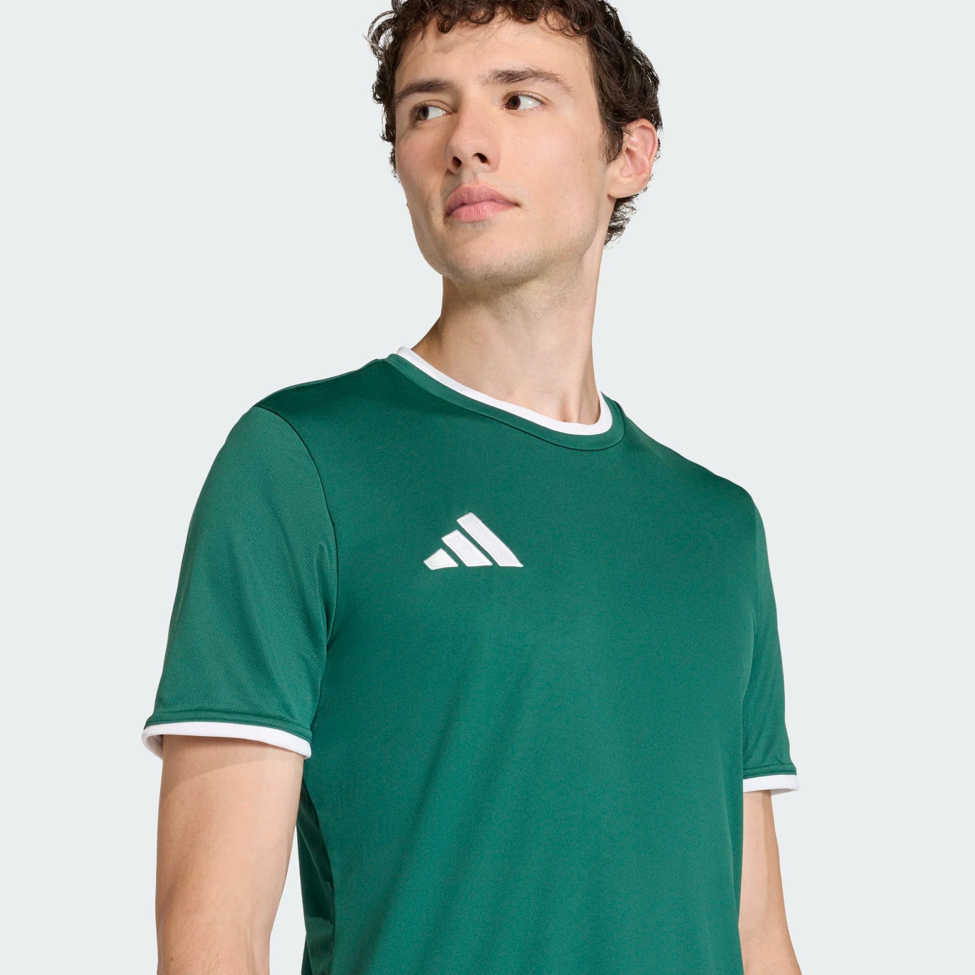 T-shirt de Treino Homem Adidas Ent26 Verde Adidas 