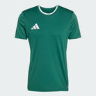 T-shirt de Treino Homem Adidas Ent26 Verde Adidas 