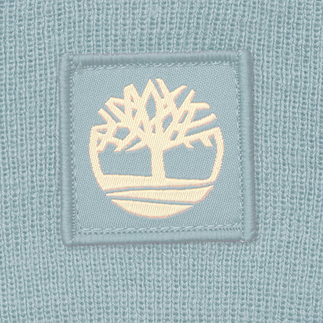 Timberland Gorro Tonal Patch Azul Claro Timberland 