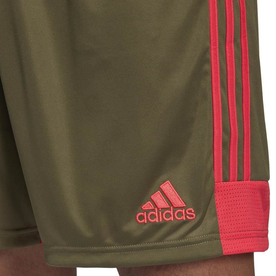 Adidas Calções Tastigo19 Castanhos Adidas