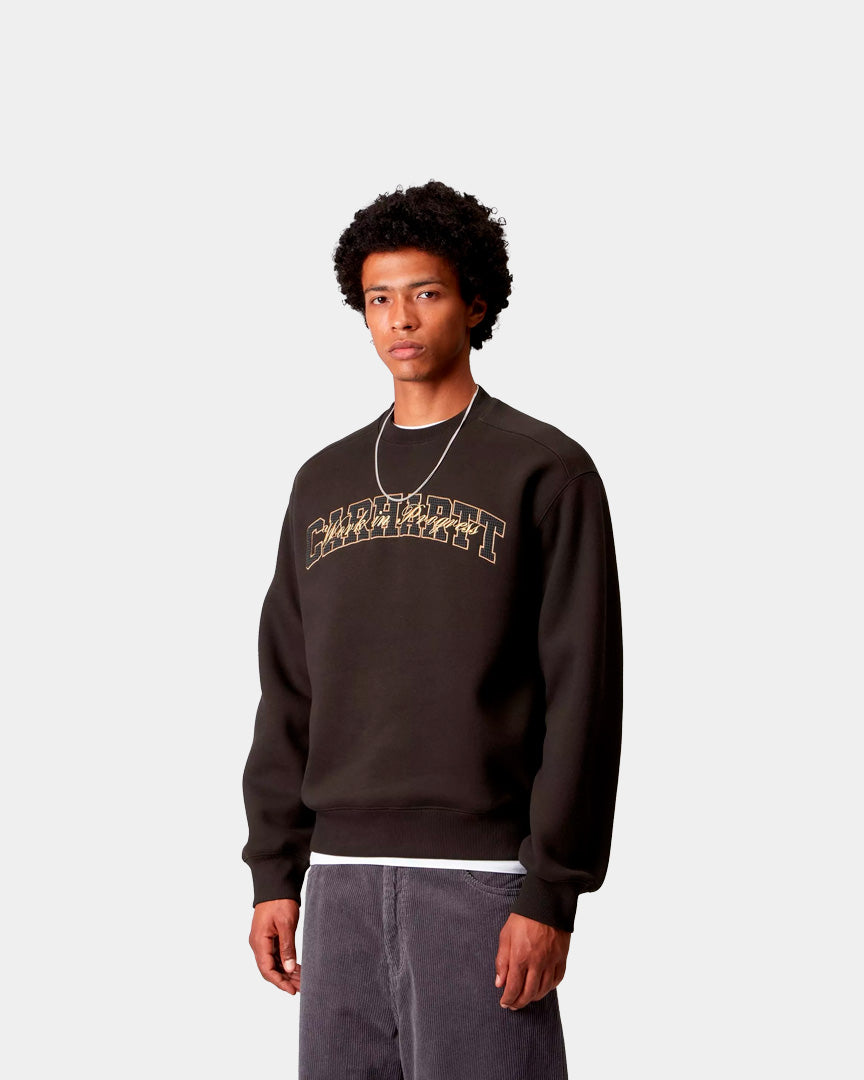 Carhartt WIP Camisola Big School Castanha i03564847xx