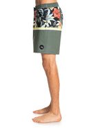 Quiksilver Calções Division 17 M Jamv Verdes Quiksilver 